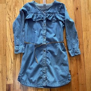 Carter denim dress